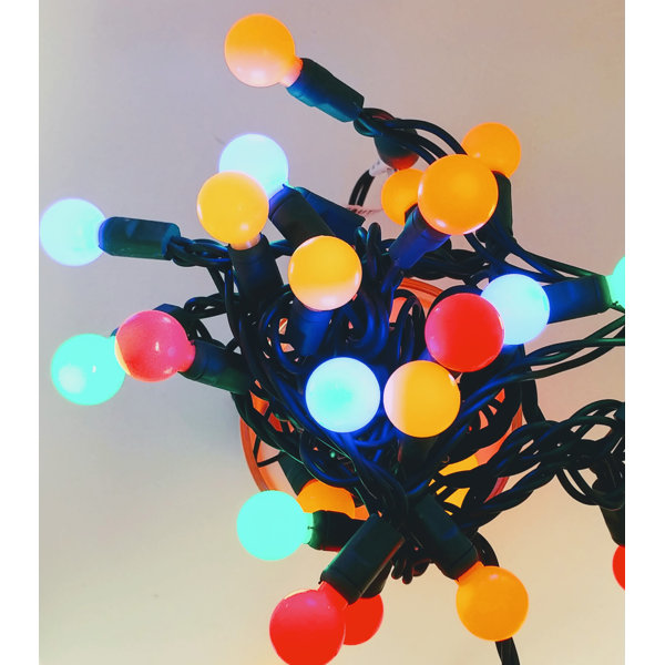 The Holiday Aisle® LED String Lights & Reviews | Wayfair